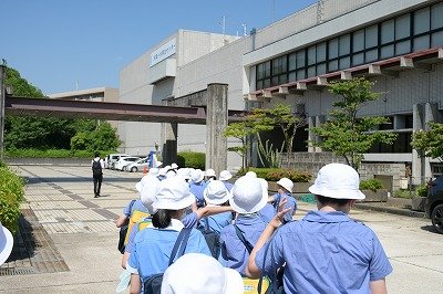 20250618 (1).jpg