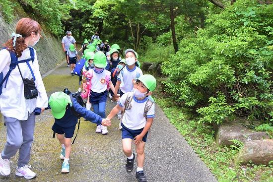 みどり山道.jpg