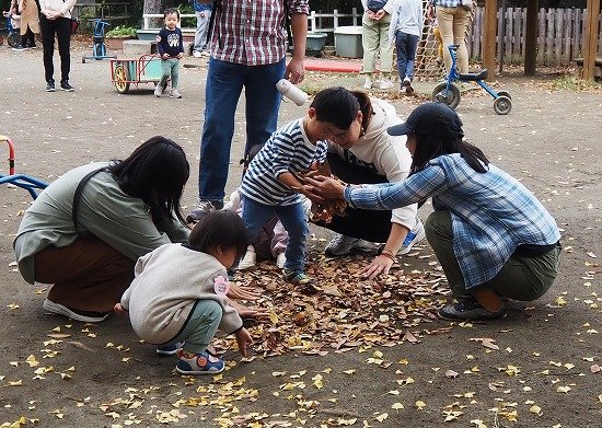 落ち葉.jpg