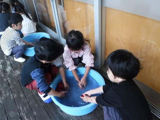 DSCF4129.jpg