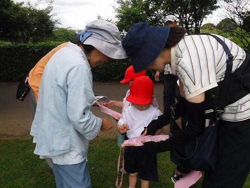 DSCF8441 17.jpg