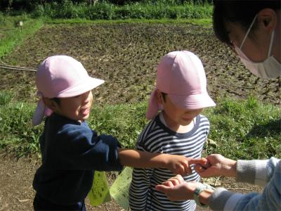IMG_0260.jpg