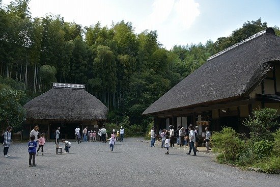 K14_0410.jpg