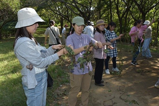 K14_0483.jpg