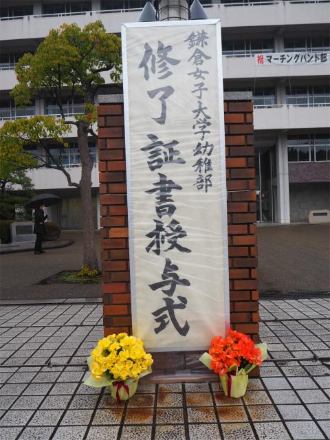 P3100113.jpg