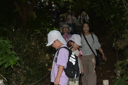 Y03_0113.jpg