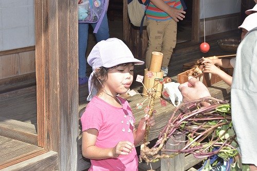 Y03_0409.jpg