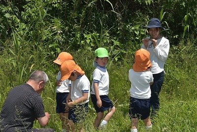 Y03_0418 34.jpg