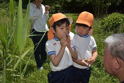 Y03_0419 35.jpg