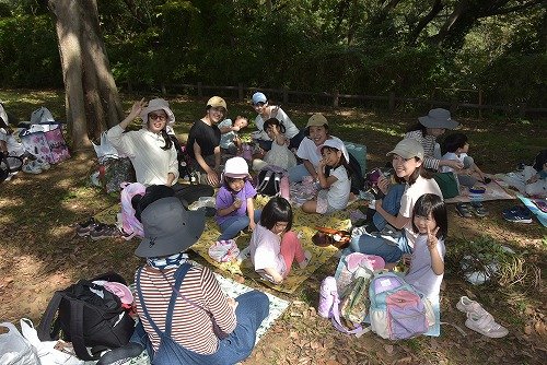 Y03_0486.jpg