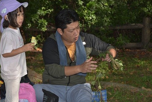 Y03_0554.jpg