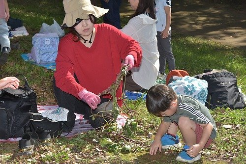 Y03_0569.jpg