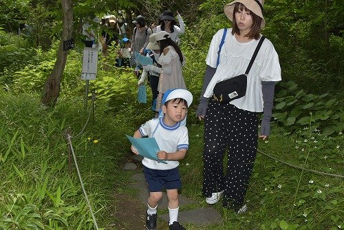 Y05_0186 9.jpg