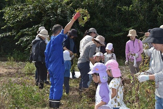 Y24_0310.jpg