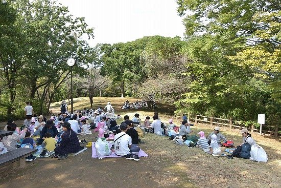 Y24_0430.jpg