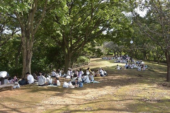Y24_0486.jpg