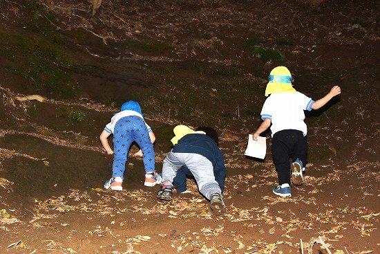 Y26_0544.jpg