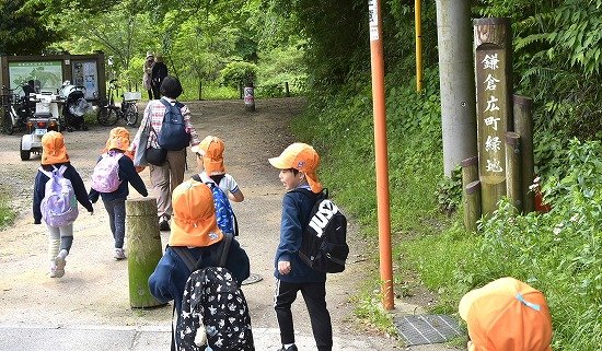 Y51_0111.jpg