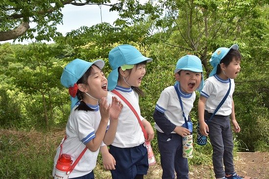 Y51_0471.jpg
