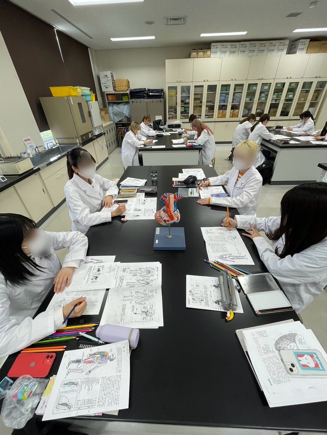 20240613解剖学実習① (1).JPEG