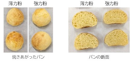 20240726写真２small.jpg