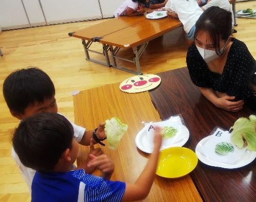 20240909②野菜どっちでしょうクイズ_トリミング.JPG
