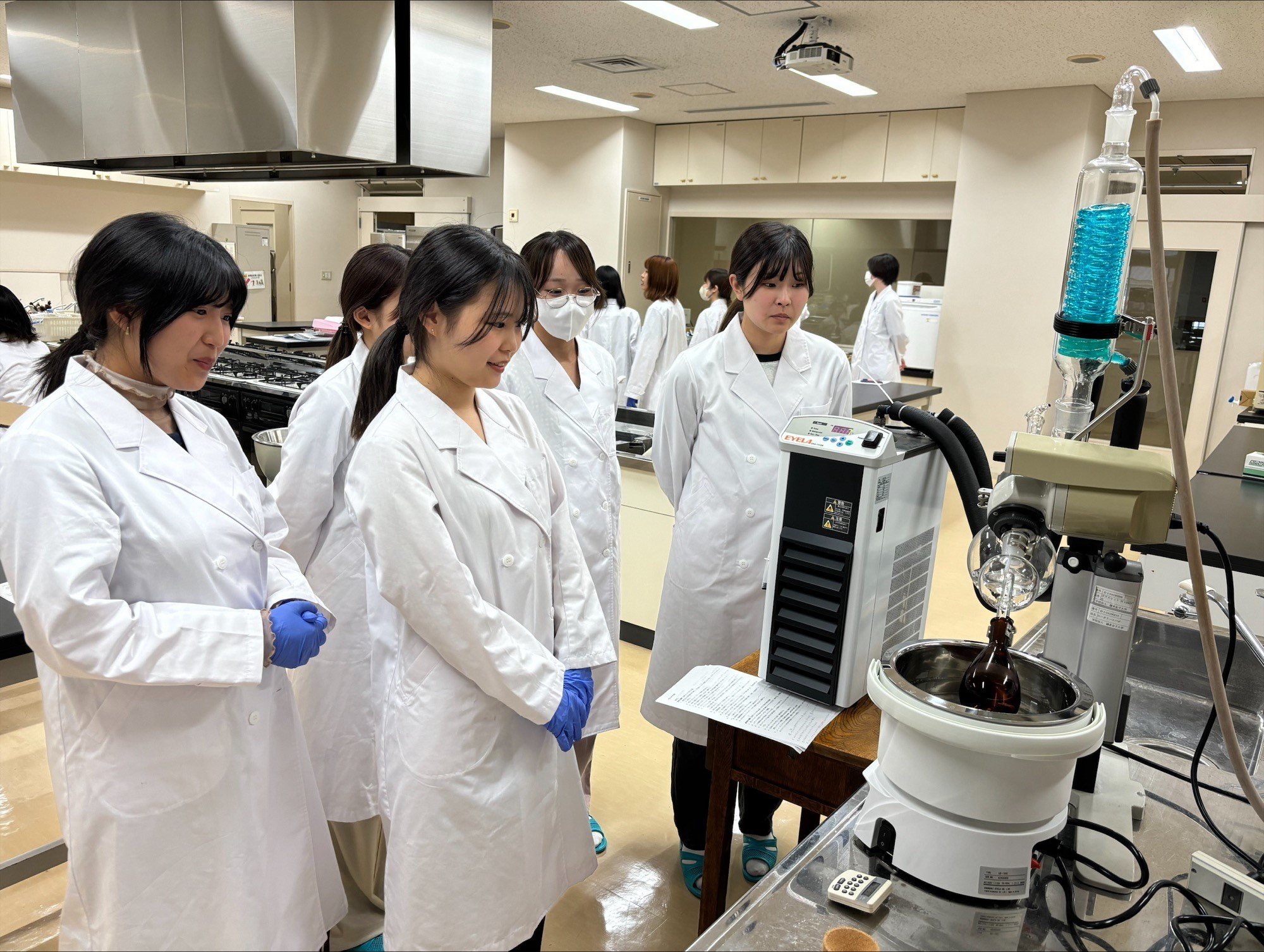 20241009食品分析学実験2.jpeg