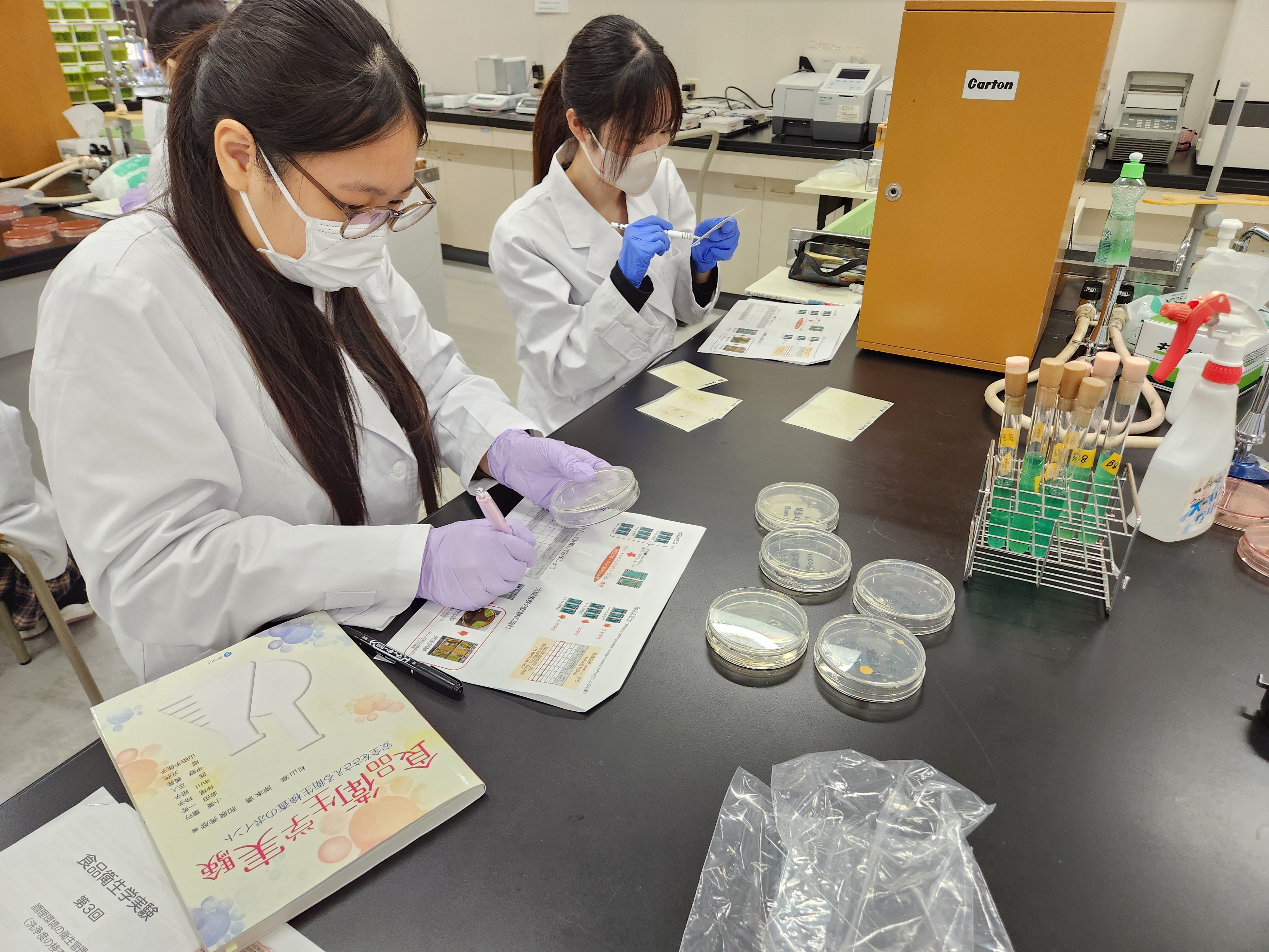 20241022_食品衛生学実験3.jpg