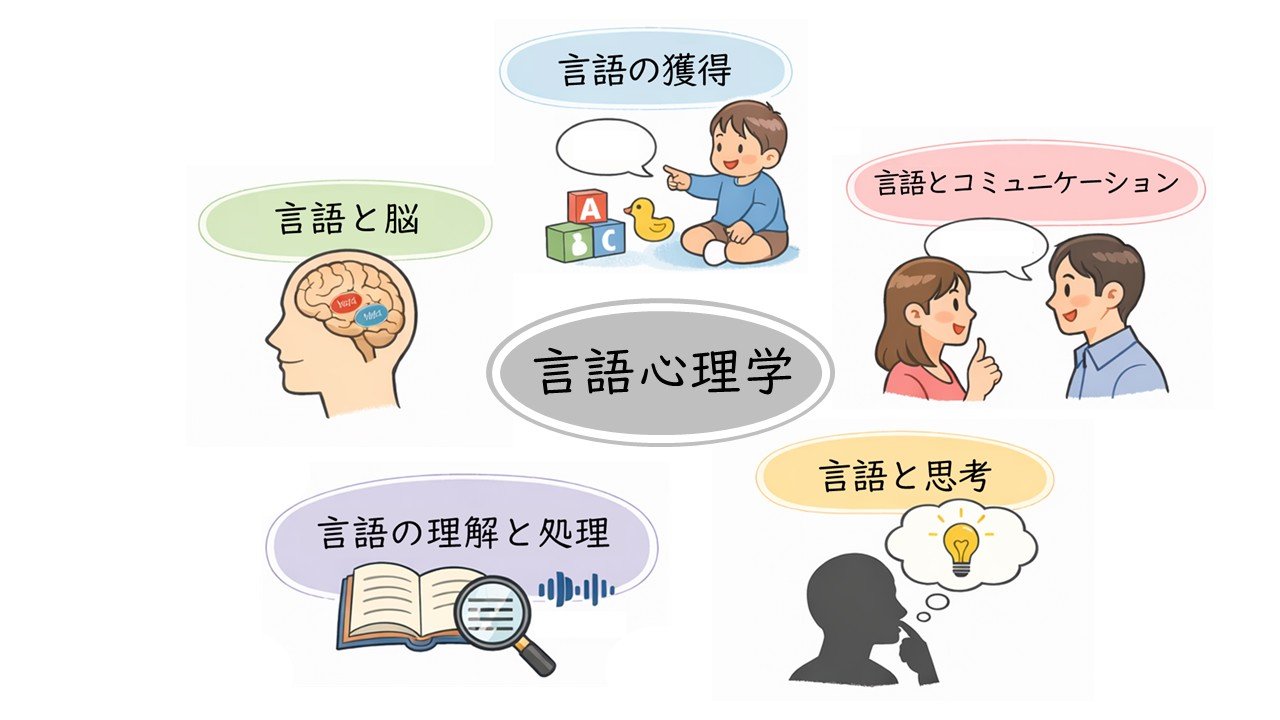 20260401_写真2　言語心理学で扱う領域のイメージ.jpg